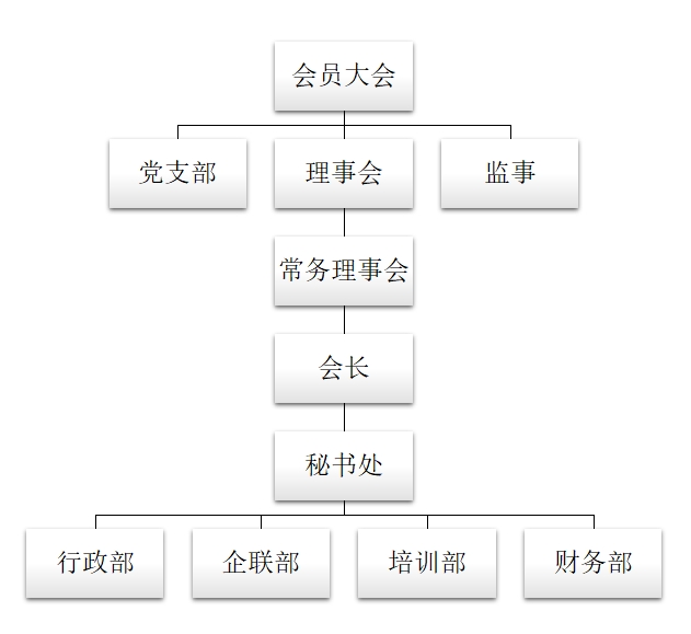 組織架構(gòu)圖.jpg